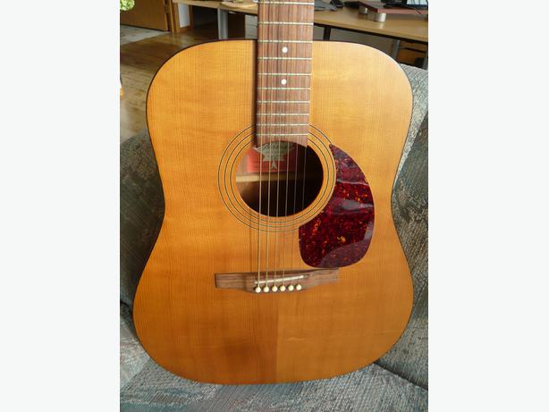 norman guitar serial number search